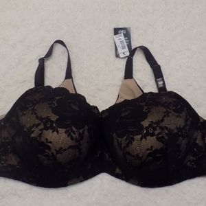 Torrid Curve Bra